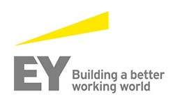Ernst & Young accountants